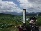 プチ北海道！？
