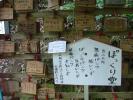 家族のお土産にパンツはいかが？