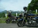 旅Bike=ZEPHYR